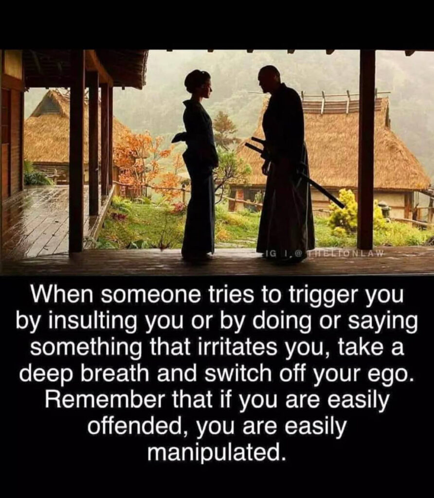 When someone tries to trigger you by insulting you or by doing or saying something that irritates you, take a deep breath and switch off your ego. Remember that if you are easily offended, you are easily manipulated.